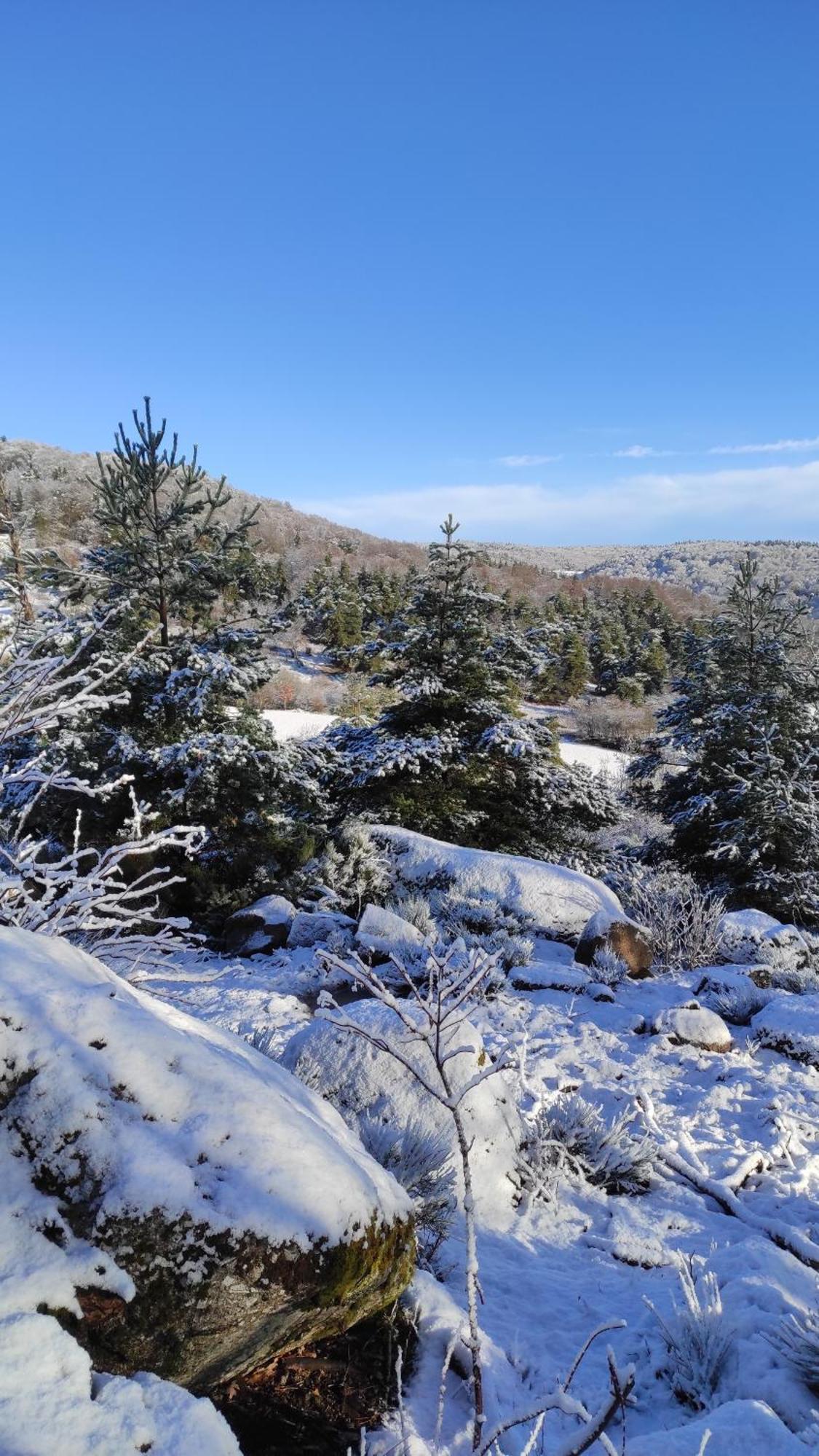 Le Chalet Antrenas Dış mekan fotoğraf