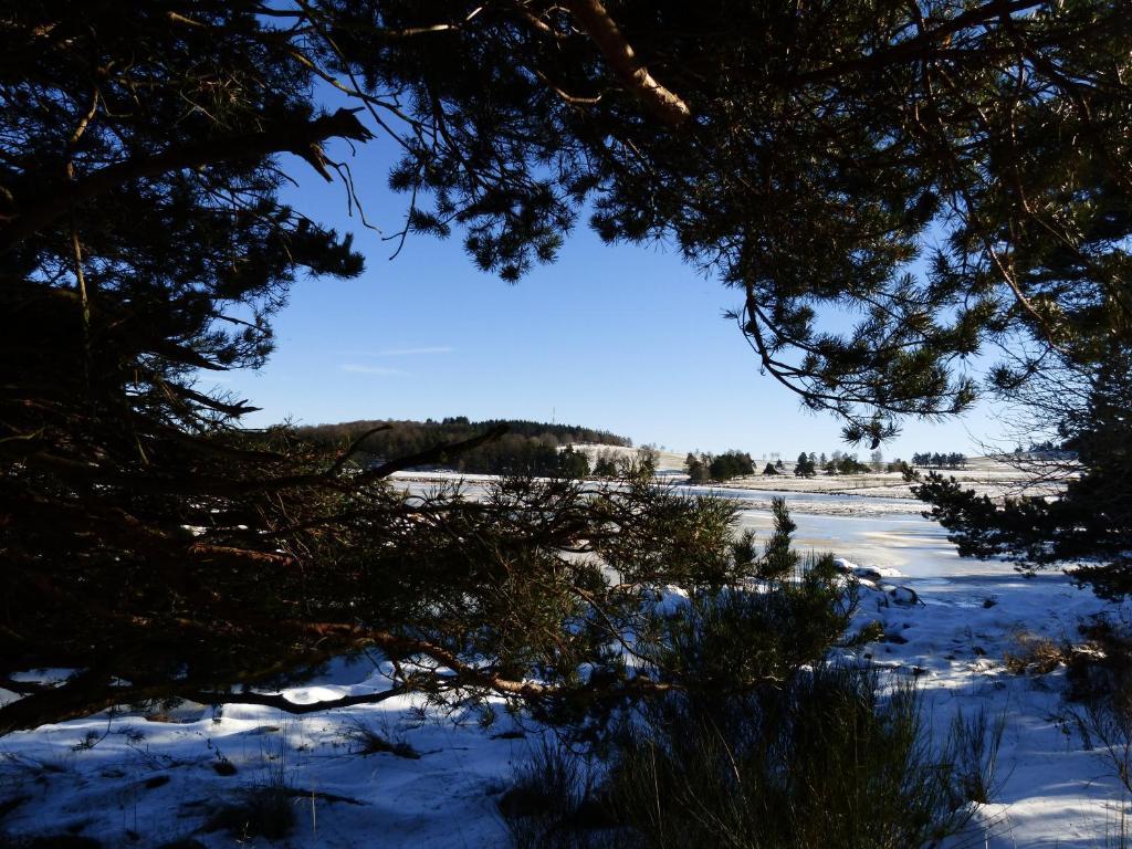 Le Chalet Antrenas Dış mekan fotoğraf