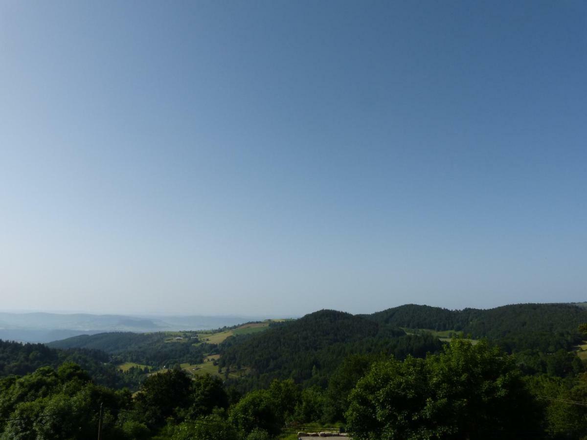 Le Chalet Antrenas Dış mekan fotoğraf